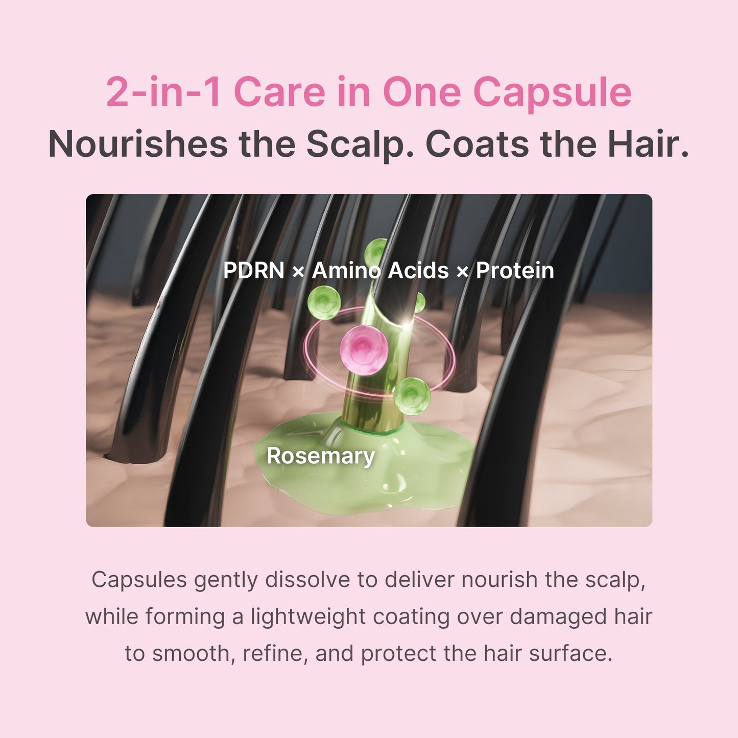 rosemary-pdrn-hair-and-scalp-conditioner-v5 US_ME_RosemaryConditioner_th05.jpg